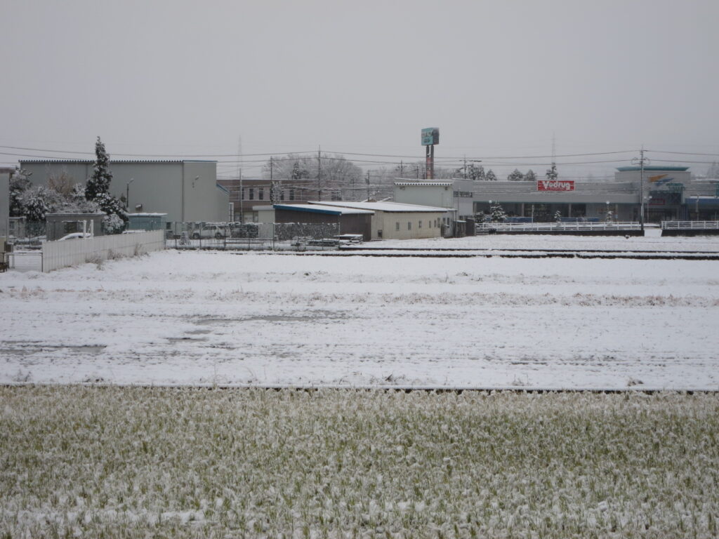 富山市に初雪が降りました。